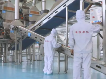 2025年的第一個月，承德亞歐果仁有限公司在山杏產業(yè)的道路上持續(xù)奮進，展現(xiàn)出蓬勃的發(fā)展活力。